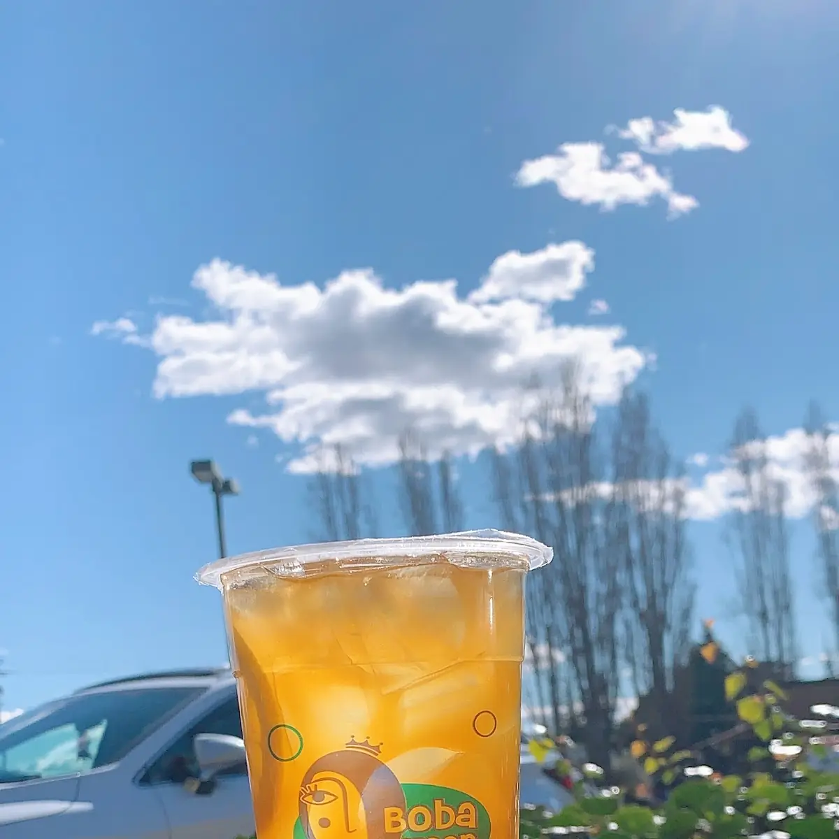 thai tea snow 特制泰茶雪泡